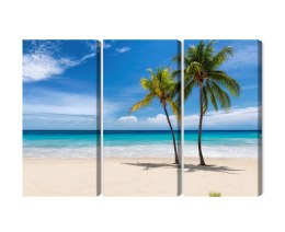 Obraz Wieloczęściowy Karaibska Plaża 3D Canvas 120x80 LBS-2099-C120-80_3X40-80
