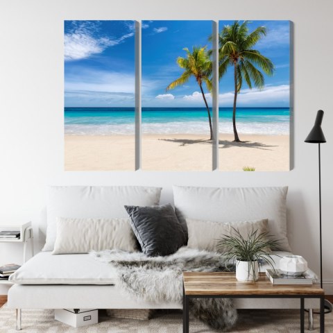 Obraz Wieloczęściowy Karaibska Plaża 3D Canvas 120x80 LBS-2099-C120-80_3X40-80