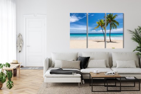 Obraz Wieloczęściowy Karaibska Plaża 3D Canvas 120x80 LBS-2099-C120-80_3X40-80