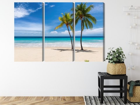 Obraz Wieloczęściowy Karaibska Plaża 3D Canvas 120x80 LBS-2099-C120-80_3X40-80