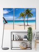Obraz Wieloczęściowy Karaibska Plaża 3D Canvas 120x80 LBS-2099-C120-80_3X40-80
