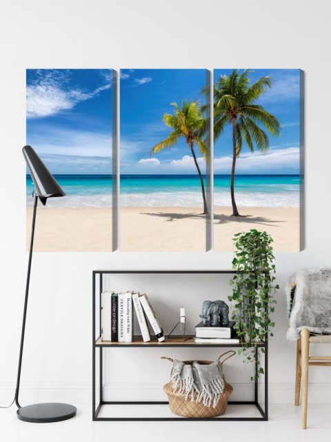 Obraz Wieloczęściowy Karaibska Plaża 3D Canvas 120x80 LBS-2099-C120-80_3X40-80