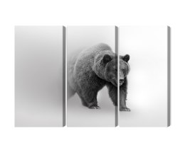 Obraz Wieloczęściowy Niedźwiedź We Mgle 3D Canvas 120x80 LBS-4683-C120-80_3X40-80