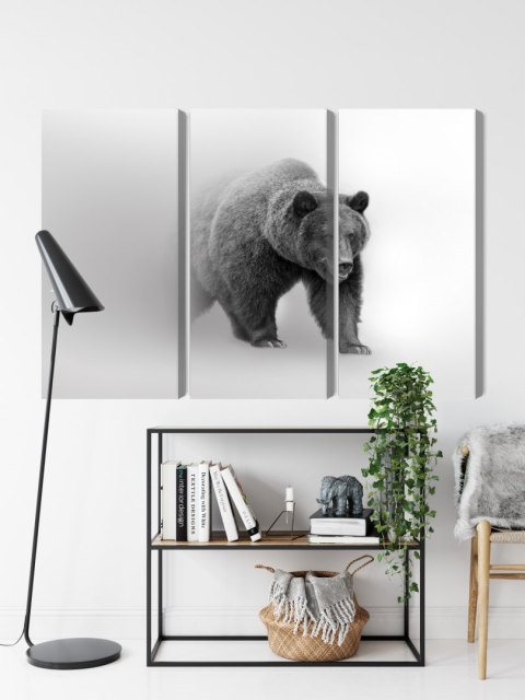 Obraz Wieloczęściowy Niedźwiedź We Mgle 3D Canvas 120x80 LBS-4683-C120-80_3X40-80