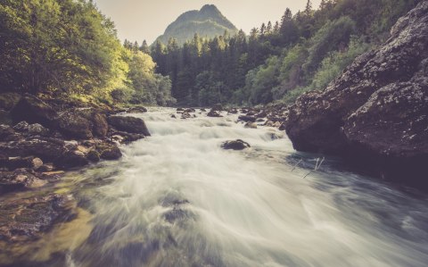 Obraz Wieloczęściowy Górska Rzeka W Lesie Canvas Naturalny 80x50 LBS-3225-NC80-50_2X20-50_2X20-30