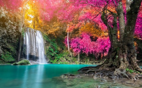 Obraz Wieloczęściowy Piękny Leśny Wodospad Canvas Naturalny 80x50 LBS-3335-NC80-50_2X20-50_2X20-30