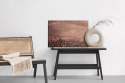 Obraz Na Płótnie Ziarna Kawy Na Drewnianym Tle Canvas Naturalny 100x70 LB-2653-NC100-70