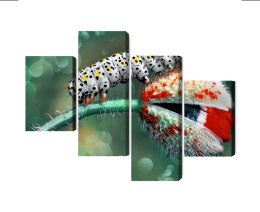 Obraz Wieloczęściowy Gąsienica I Biedronka Na Roślinie Makro Canvas 120x75 LBS-3846-C120-75_2X30-75_2X30-45