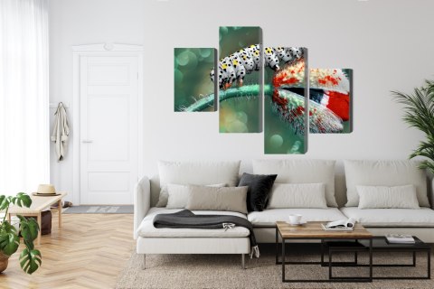 Obraz Wieloczęściowy Gąsienica I Biedronka Na Roślinie Makro Canvas 120x75 LBS-3846-C120-75_2X30-75_2X30-45