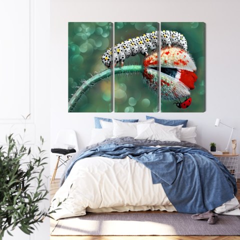 Obraz Wieloczęściowy Gąsienica I Biedronka Na Roślinie Makro Canvas 120x80 LBS-3843-C120-80_3X40-80