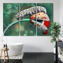 Obraz Wieloczęściowy Gąsienica I Biedronka Na Roślinie Makro Canvas 120x80 LBS-3843-C120-80_3X40-80
