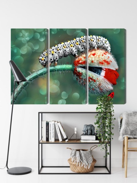 Obraz Wieloczęściowy Gąsienica I Biedronka Na Roślinie Makro Canvas 120x80 LBS-3843-C120-80_3X40-80