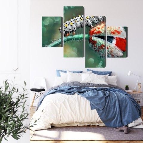 Obraz Wieloczęściowy Gąsienica I Biedronka Na Roślinie Makro Canvas Naturalny 80x50 LBS-3846-NC80-50_2X20-50_2X20-30