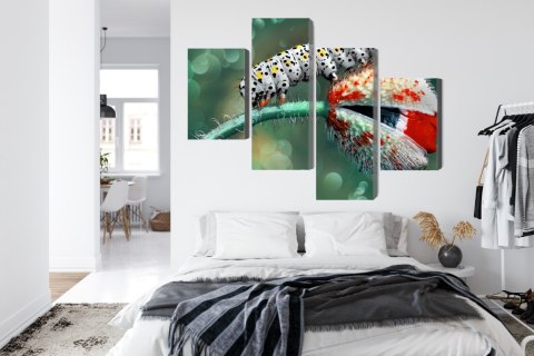 Obraz Wieloczęściowy Gąsienica I Biedronka Na Roślinie Makro Canvas Naturalny 80x50 LBS-3846-NC80-50_2X20-50_2X20-30