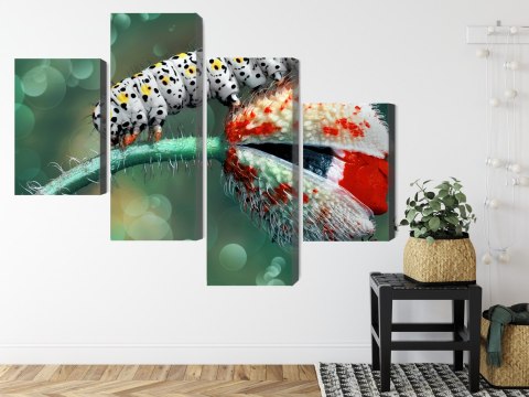 Obraz Wieloczęściowy Gąsienica I Biedronka Na Roślinie Makro Canvas Naturalny 80x50 LBS-3846-NC80-50_2X20-50_2X20-30