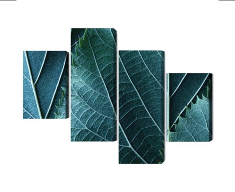 Obraz Wieloczęściowy Liście W Skali Makro Z Efektem 3D Canvas 120x75 LBS-3921-C120-75_2X30-75_2X30-45