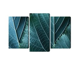 Obraz Wieloczęściowy Liście W Skali Makro Z Efektem 3D Canvas 120x80 LBS-3919-C120-80_1X40-80_2X40-60