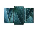 Obraz Wieloczęściowy Liście W Skali Makro Z Efektem 3D Canvas Naturalny 90x60 LBS-3919-NC90-60_1X30-60_2X30-45