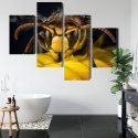 Obraz Wieloczęściowy Osa W Skali Makro Canvas 120x75 LBS-3676-C120-75_2X30-75_2X30-45