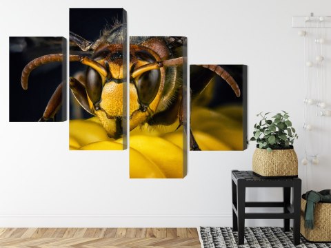 Obraz Wieloczęściowy Osa W Skali Makro Canvas 120x75 LBS-3676-C120-75_2X30-75_2X30-45