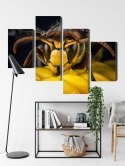 Obraz Wieloczęściowy Osa W Skali Makro Canvas Naturalny 80x50 LBS-3676-NC80-50_2X20-50_2X20-30