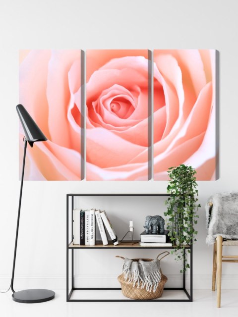 Obraz Wieloczęściowy Pastelowa Róża W Makroskali 3D Canvas 120x80 LBS-3813-C120-80_3X40-80