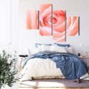 Obraz Wieloczęściowy Pastelowa Róża W Makroskali 3D Canvas Naturalny 80x50 LBS-3816-NC80-50_2X20-50_2X20-30