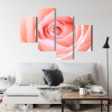 Obraz Wieloczęściowy Pastelowa Róża W Makroskali 3D Canvas Naturalny 80x50 LBS-3816-NC80-50_2X20-50_2X20-30