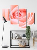 Obraz Wieloczęściowy Pastelowa Róża W Makroskali 3D Canvas Naturalny 80x50 LBS-3816-NC80-50_2X20-50_2X20-30