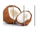 Obraz Wieloczęściowy Połówki Kokosa Canvas 120x80 LBS-2990-C120-80_3X40-80