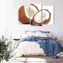 Obraz Wieloczęściowy Połówki Kokosa Canvas 120x80 LBS-2991-C120-80_1X40-80_2X40-60