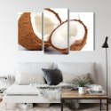 Obraz Wieloczęściowy Połówki Kokosa Canvas Naturalny 90x60 LBS-2991-NC90-60_1X30-60_2X30-45