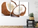 Obraz Wieloczęściowy Połówki Kokosa Canvas Naturalny 90x60 LBS-2991-NC90-60_1X30-60_2X30-45