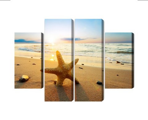 Obraz Wieloczęściowy Rozgwiazda Na Plaży 3D Canvas 80x60 LBS-2111-C80-60_2X20-60_2X20-40