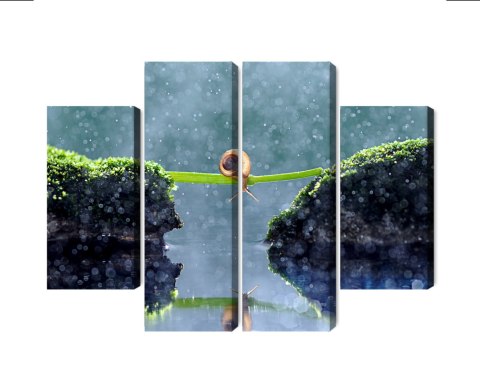 Obraz Wieloczęściowy Ślimak W Deszczu Canvas 80x60 LBS-3885-C80-60_2X20-60_2X20-40