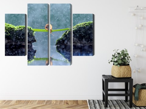 Obraz Wieloczęściowy Ślimak W Deszczu Canvas Naturalny 80x60 LBS-3885-NC80-60_2X20-60_2X20-40