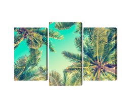 Obraz Wieloczęściowy Widok Z Dołu Na Palmy Canvas 120x80 LBS-2015-C120-80_1X40-80_2X40-60