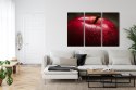 Obraz Wieloczęściowy Czerwone Jabłko W Skali Makro Canvas 120x80 LBS-3898-C120-80_3X40-80
