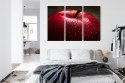 Obraz Wieloczęściowy Czerwone Jabłko W Skali Makro Canvas 120x80 LBS-3898-C120-80_3X40-80