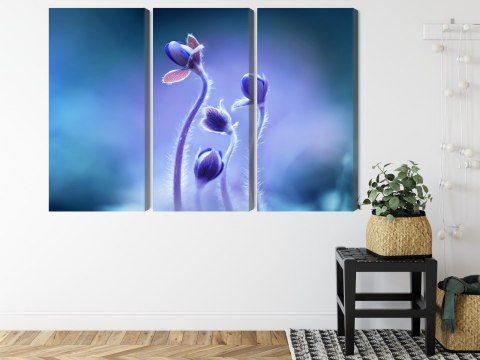 Obraz Wieloczęściowy Delikatne Kwiaty W Skali Makro Canvas 120x80 LBS-3738-C120-80_3X40-80