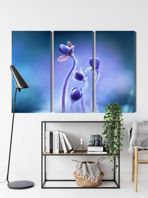 Obraz Wieloczęściowy Delikatne Kwiaty W Skali Makro Canvas 120x80 LBS-3738-C120-80_3X40-80