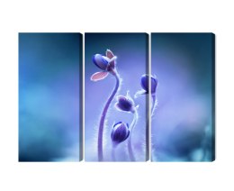 Obraz Wieloczęściowy Delikatne Kwiaty W Skali Makro Canvas Naturalny 150x100 LBS-3738-NC150-100_3X50-100