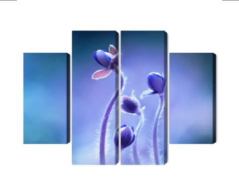 Obraz Wieloczęściowy Delikatne Kwiaty W Skali Makro Canvas Naturalny 80x60 LBS-3740-NC80-60_2X20-60_2X20-40