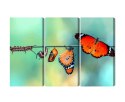 Obraz Wieloczęściowy Kolorowe Gąsienice I Motyle W Skali Makro Canvas 120x80 LBS-3958-C120-80_3X40-80