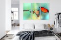 Obraz Wieloczęściowy Kolorowe Gąsienice I Motyle W Skali Makro Canvas 120x80 LBS-3958-C120-80_3X40-80