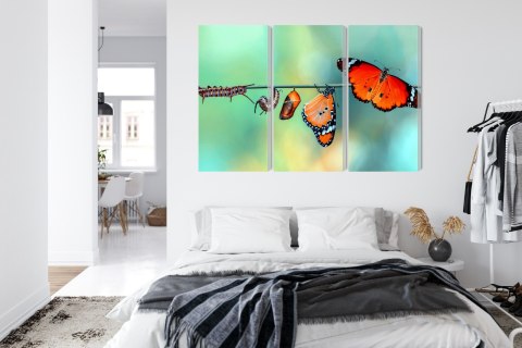 Obraz Wieloczęściowy Kolorowe Gąsienice I Motyle W Skali Makro Canvas 120x80 LBS-3958-C120-80_3X40-80