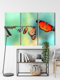 Obraz Wieloczęściowy Kolorowe Gąsienice I Motyle W Skali Makro Canvas 120x80 LBS-3958-C120-80_3X40-80