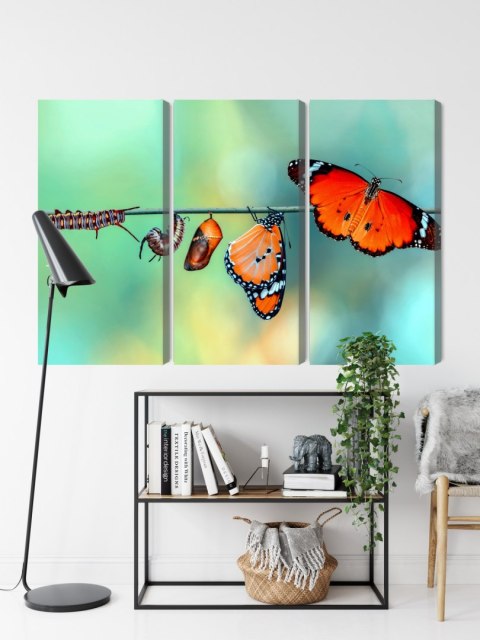 Obraz Wieloczęściowy Kolorowe Gąsienice I Motyle W Skali Makro Canvas 120x80 LBS-3958-C120-80_3X40-80