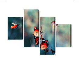 Obraz Wieloczęściowy Kolorowe Motyle W Skali Makro Canvas 120x75 LBS-3826-C120-75_2X30-75_2X30-45