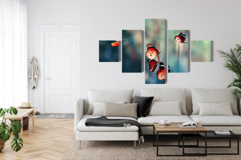 Obraz Wieloczęściowy Kolorowe Motyle W Skali Makro Canvas 250x150 LBS-3827-C250-150_1X50-150_2X50-100_2X50-50